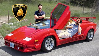 Lamborghini Countach Review  Wolf Of ALL Streets [upl. by Ardnayek783]