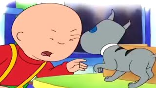 Caillou en Español  Caillou y el Pequeño Gatito  Dibujos animados para niños  Dibujos Infantiles [upl. by Adnamor782]