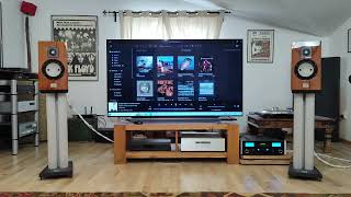 McIntosh MA5300 Marten Duke 2 Yamaha CDS3000 [upl. by Notsyrb966]