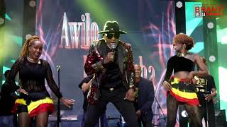 Live Awilo Longomba Energetic Live Performance Shut Down Afrigo Band48 Concert in Style [upl. by Cleopatre]