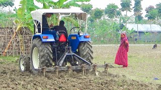 New Holland TT55 To Level the paddy Land  Exploring Bangladesh [upl. by Patrizio]