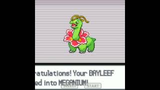 Bayleef Evole Into Meganium  Pokemon Light Platinum  shorts [upl. by Quennie313]