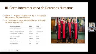 Corte Interamericana de Derechos Humanos [upl. by Eemiaj]