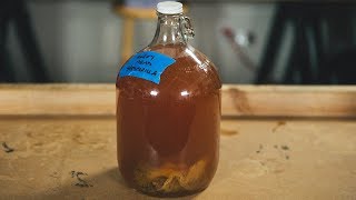 How to Make Your Own Mead [upl. by Astor]