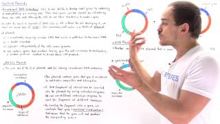 Plasmids and Recombinant DNA Technology [upl. by Essy]