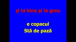 Copacul Karaoke Aurelian Andreescu [upl. by Navis]