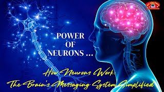 How Neurons Work  The Bodys Messaging System [upl. by Gelasius]