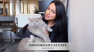 Amsterdam Cat Café  Amsterdam city guide hotspots [upl. by Eerahs]