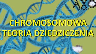 110 Chromosomowa teoria dziedziczenia [upl. by Graubert652]