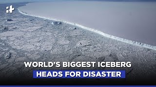 Iceberg A68 The World’s Biggest Iceberg Is Headed for a Disastrous Collision [upl. by Nyrmac]