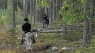 Trail riding on the donkeys [upl. by Bradleigh847]