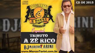 CD Comitiva É Nozes Especial Tributo a José Rico Produção Dj Marcos Tarini [upl. by Waneta]