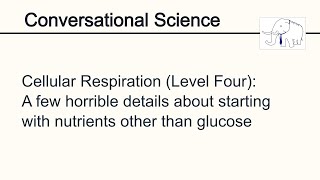 Cellular Respiration Level Four Nutrients other than glucose [upl. by Yetak]