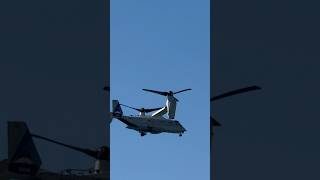 US Navy Osprey Flyby rap military foryou osprey [upl. by Mosnar919]