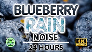 Soothing Blueberry Rain Noise  24 Hours BLACK SCREEN  Study Sleep Tinnitus Relief amp Focus [upl. by Iggep]