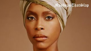 Erykah Badu  quotFreak n You Jodeci  Didn’t Cha Knowquot Mashup [upl. by Tergram]