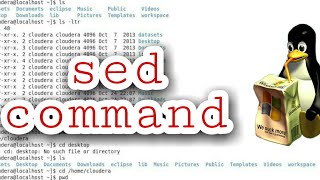 sed command in linux UrduHindi use of sed account [upl. by Salter]