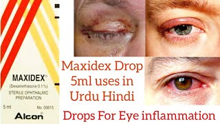 Maxidex Drops Suspension uses in Urdu Hindi [upl. by Hgalehs]