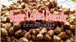 Homemade Candied Nuts Recipe How to make Sugar Coated Peanuts  ElenE [upl. by Clive]