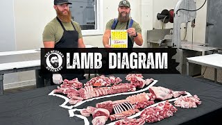 A Visual Guide to the Cuts of a Lamb Where Every Lamb Cut Comes From  By The Bearded Butchers [upl. by Novyat]