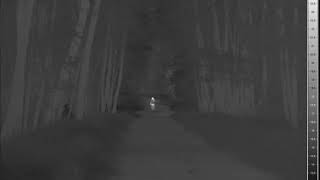 Dark Forest Pedestrian w VarioCAM HD thermal camera [upl. by Lekram228]