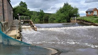 Buttercrambe Weir Fish Pass River Derwent [upl. by Fiorenze873]