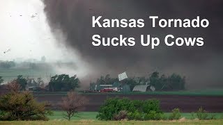 Kansas tornado sucks up cows and blows farm apart [upl. by Rosenbaum]