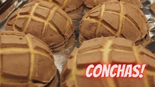 How to make Conchas from Scratch  Mexican Bread  Conchas  The Visionary Family [upl. by Odarbil]