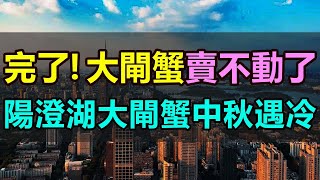 大閘蟹中秋遇冷，陽澄湖大閘蟹賣不動了，作為中秋市場的「硬貨」，大閘蟹卻突然啞火！臺風吹跑大閘蟹，價格一路飆升，普通百姓根本吃不起 大閘蟹 陽澄湖 滯銷 大閘蟹賣不動 消費降級 中國經濟觀察 [upl. by Oicnecserc811]