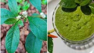 sessile joyweed chutney ಹೊನೆಗೊನೆ ಚಟ್ನಿ  ponnankannikkira chammandhiaati special [upl. by Michele49]