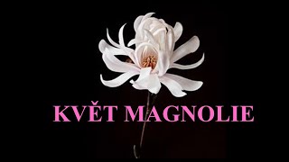 Květ Magnólie Agatha Christie [upl. by Africah]