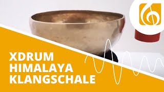 XDrum Himalaya Klangschale 30cm2800g [upl. by Kravits]