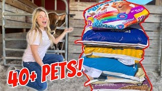 BUYING FEED FOR ALL MY PETS In One Video 40 Pets [upl. by Swanson707]