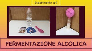 Gonfiare un palloncino con il lievito di birra  fermentazione alcolica  Esperimento 9 [upl. by Egreog]