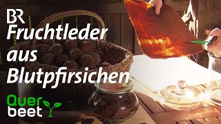 Fruchtleder aus Blutpfirsichen [upl. by Cissiee748]