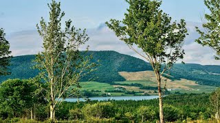 Large Property for Sale  Fiddlers Drive West Mabou Cape Breton Island [upl. by Ule]