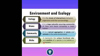 What is Ecology   Ecology and Ecosystem shorts neet [upl. by Ellerol]