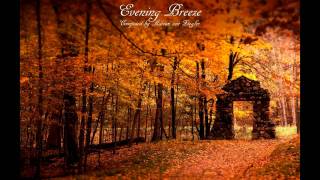 Relaxing Celtic Music  Evening Breeze [upl. by Yebloc]