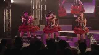 °Cute  FOREVER LOVE 2010 LIVE HD [upl. by Adnilg243]