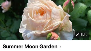 Summer Moon Garden’s New Facebook Group 😃💖 [upl. by Rednav]