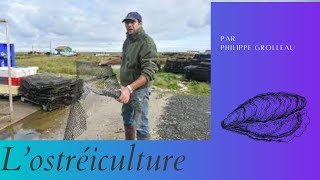 LOstréiculture « l’un des derniers métiers naturels » avec Philippe Grolleau [upl. by Christmann670]