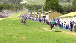 carrera de caballos en castillapatayauli hvca 2015 [upl. by Bilbe392]