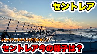 【2024年11月】セントレアの今の様子！平日夕方は落ち着いた様子！スカイデッキからの夕日はキレイでした😍 [upl. by Dielu621]