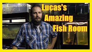 LRBretzs Aquatics Fish Room Tour Part 2  Rainbowfish Livebearers Ponds Planted tanks Shrimp [upl. by Ytsihc486]