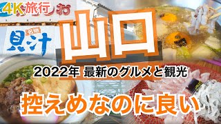 【大人の国内旅行】 山口おすすめグルメ旅 下関・岩国 探してみたら意外と面白い 唐戸市場から周防大島まで行ってみた [upl. by Einnahc]