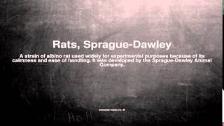 Medical vocabulary What does Rats SpragueDawley mean [upl. by Higley]