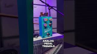 Amp tremolo vs pedal tremolo Which do you prefer [upl. by Ardehs726]