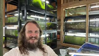 Friday Night Live QampA Freshwater Aquarium Keeping Fish Shrimp and Plants [upl. by Nayve]