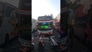 MBOIS HARYANTO TATTO 505 ‼️busmania basuri telolet haryantomania [upl. by Asserac]