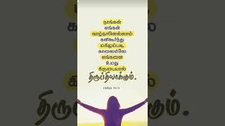 valnalellam kalikurnthu Tamil Christian Songs  FrSJ berchmans songsfrberchmansshorts ytshorts [upl. by Naujed]